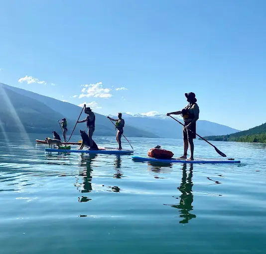 People and dogs paddleboarding on a calm lake near mountains, Revy SUP Rentals