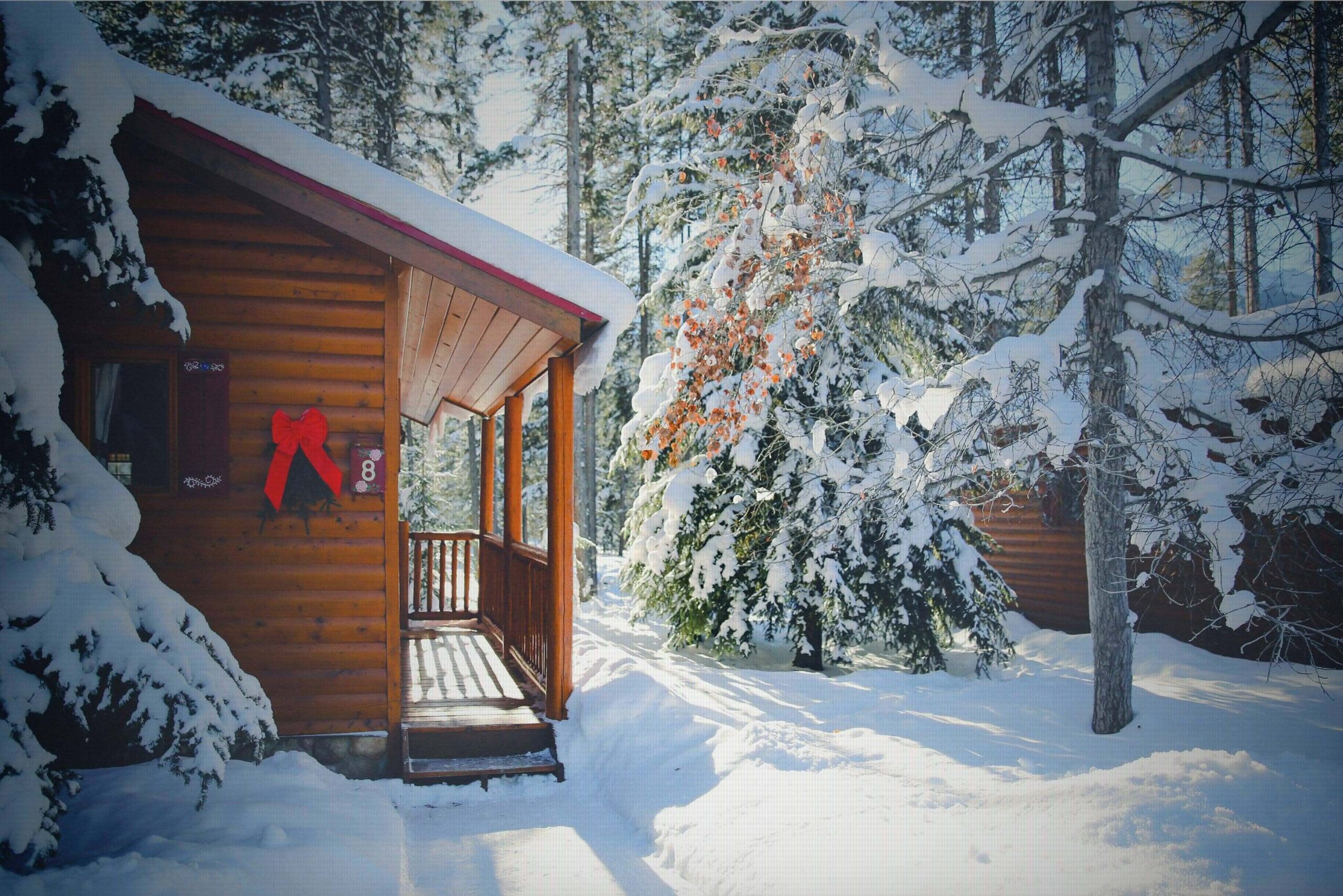 Rustic cabins in the middle of the woods