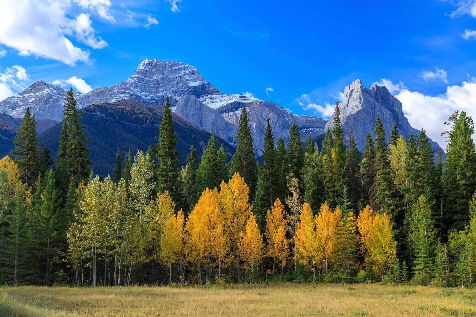 The fall colours in Banff are a sight to behold