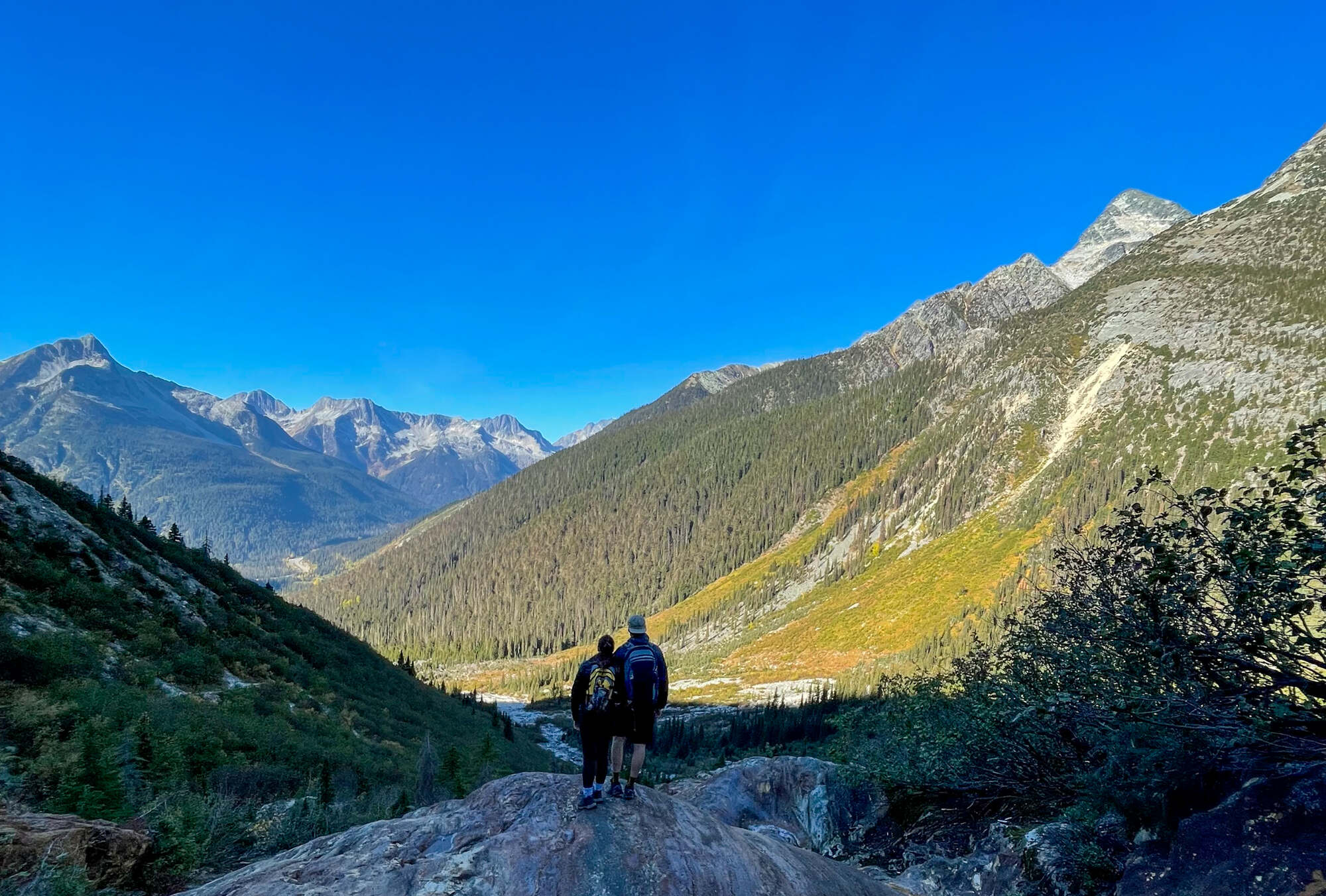 Explore hiking in Revelstoke