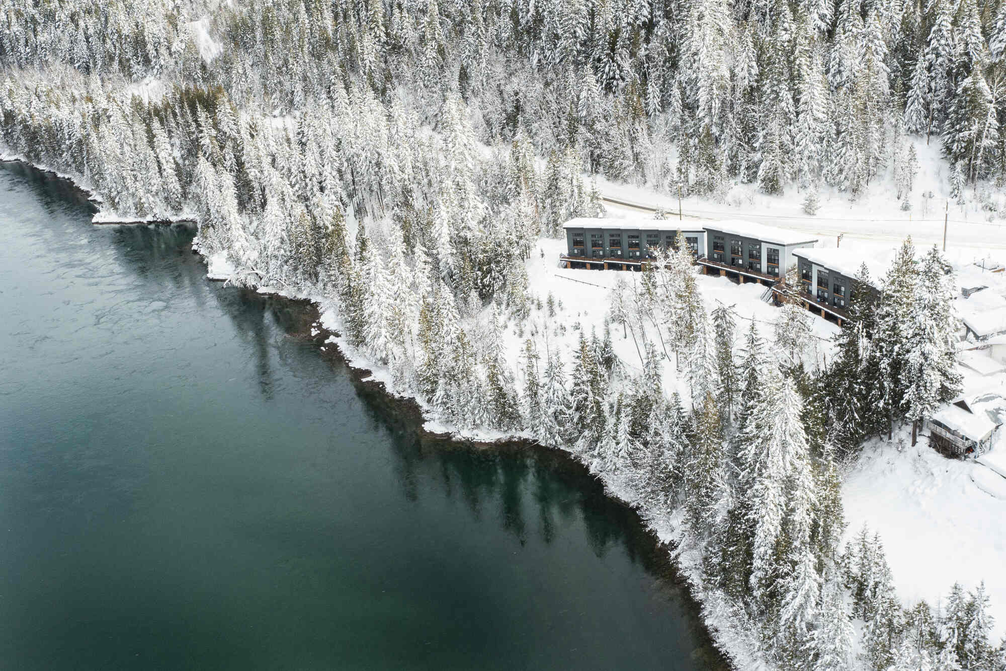 Basecamp Resorts is teaming up with veritree to combat climate change by supporting reforestation in Alberta’s Sawle Lake and BC’s Cariboo region