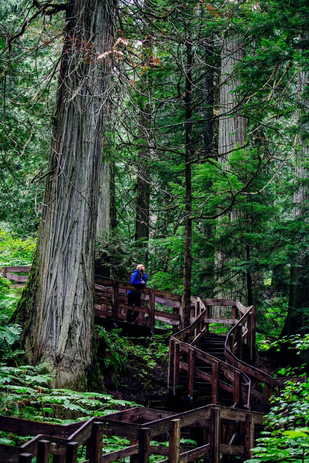 Destination BC/Ryan Creary @ Giant Ceders Boardwalk