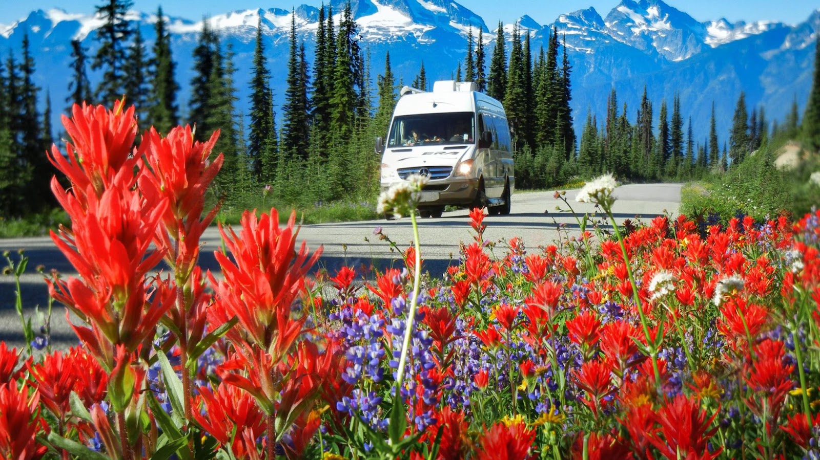 See Revelstoke @ Meadows in the Sky Parkway