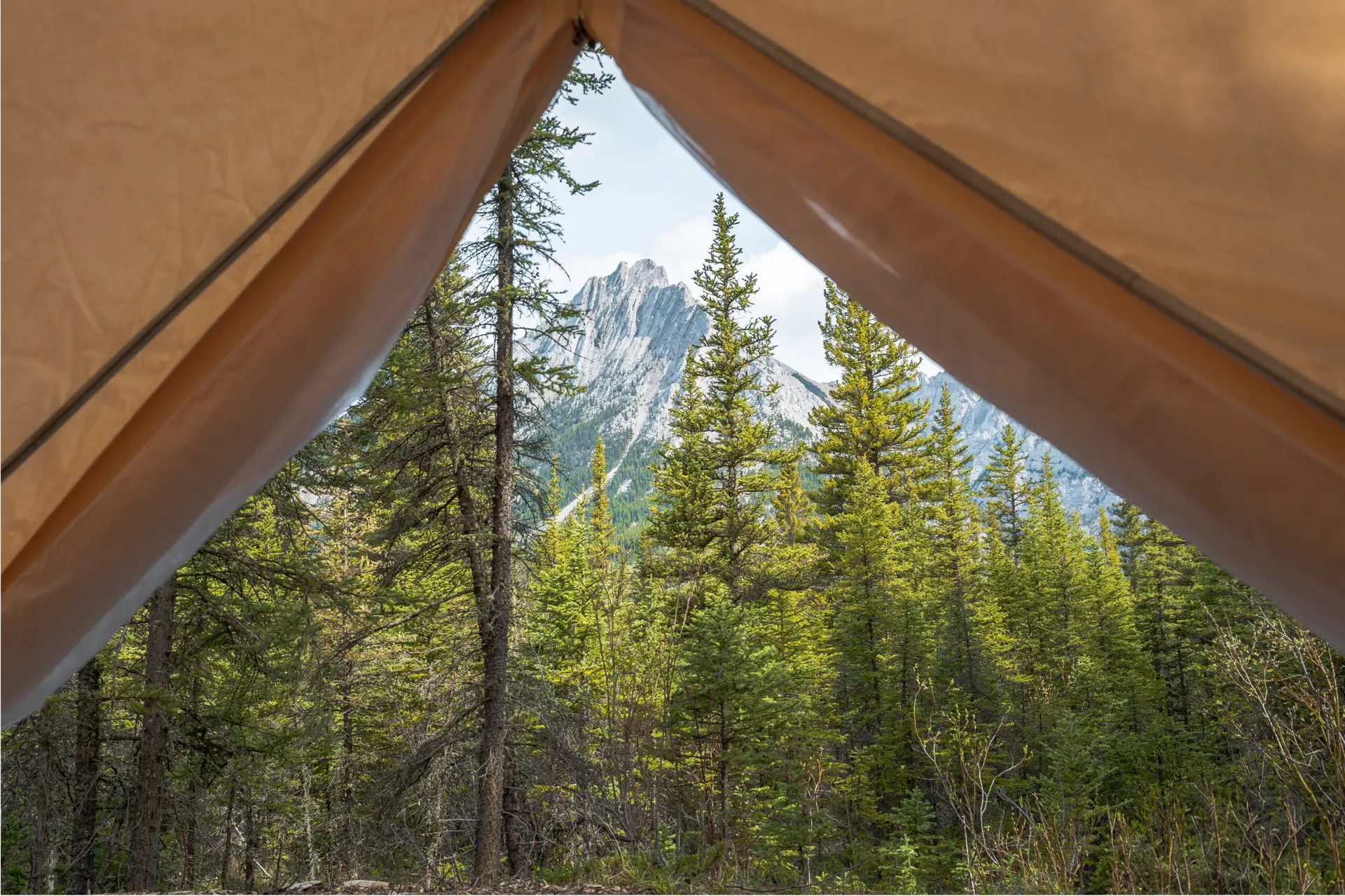 View from a glamping canvas tent at Basecamp Sundance, showing a mountain peak and pine forest