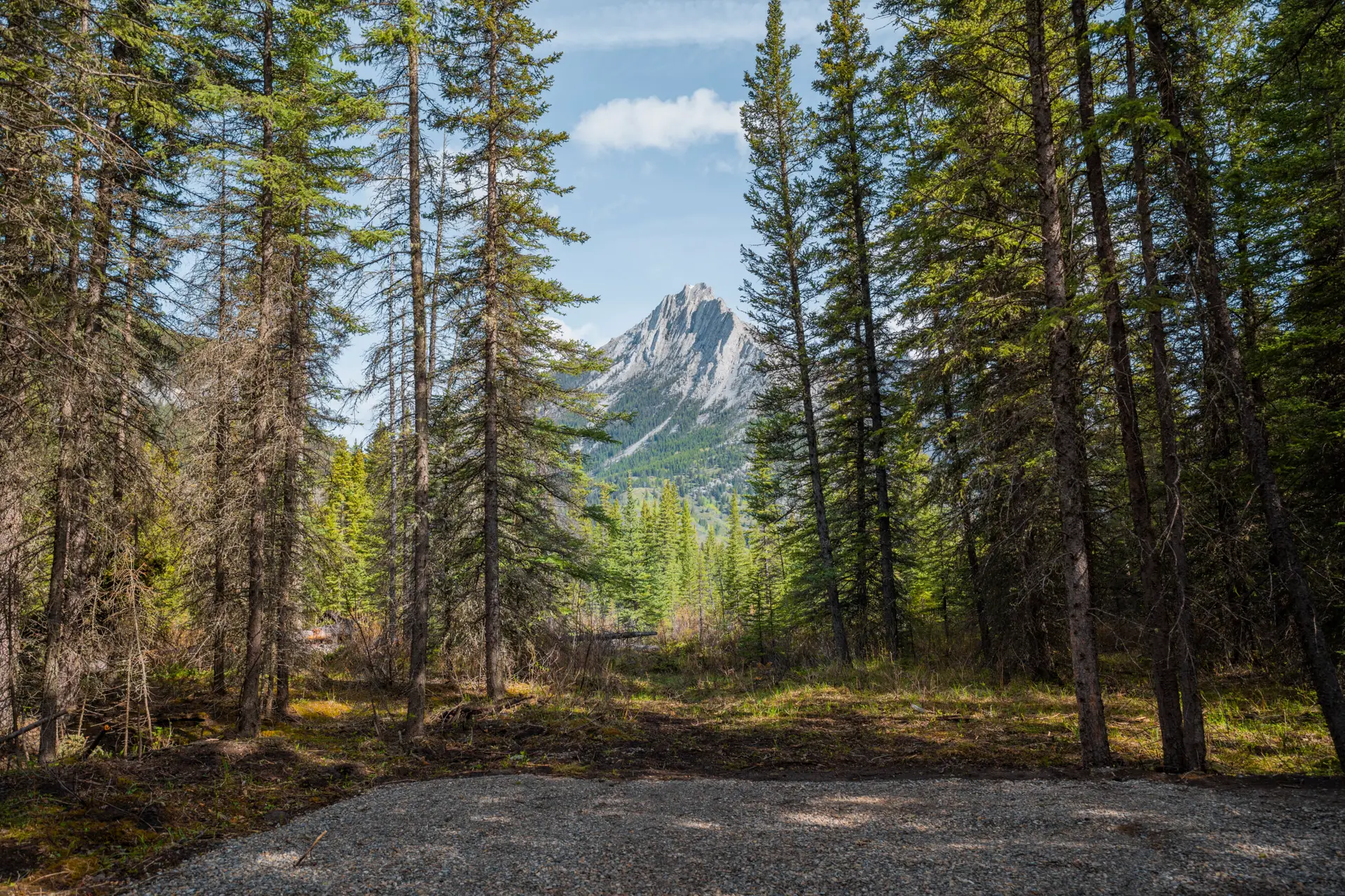 Campsite