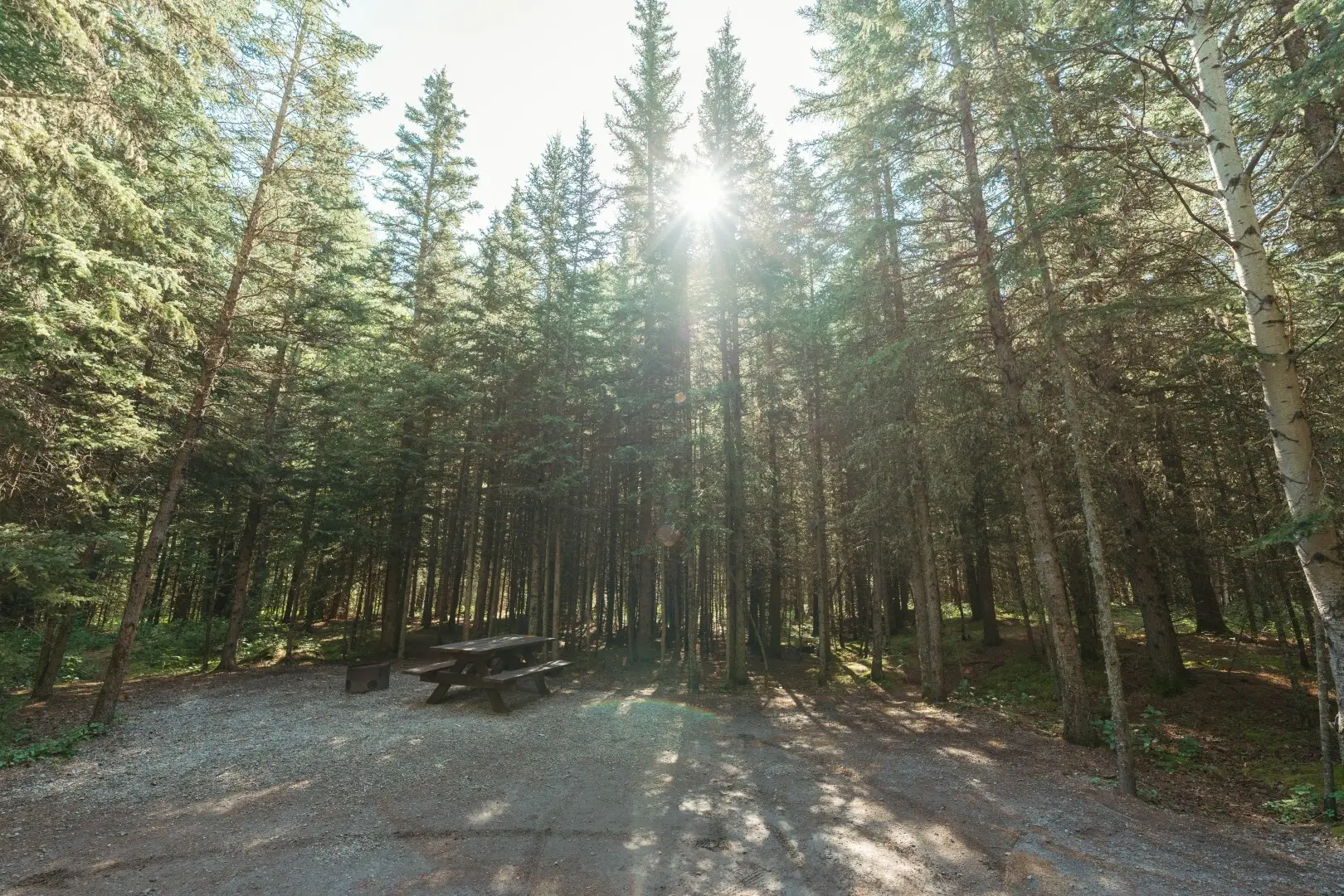 Campsite