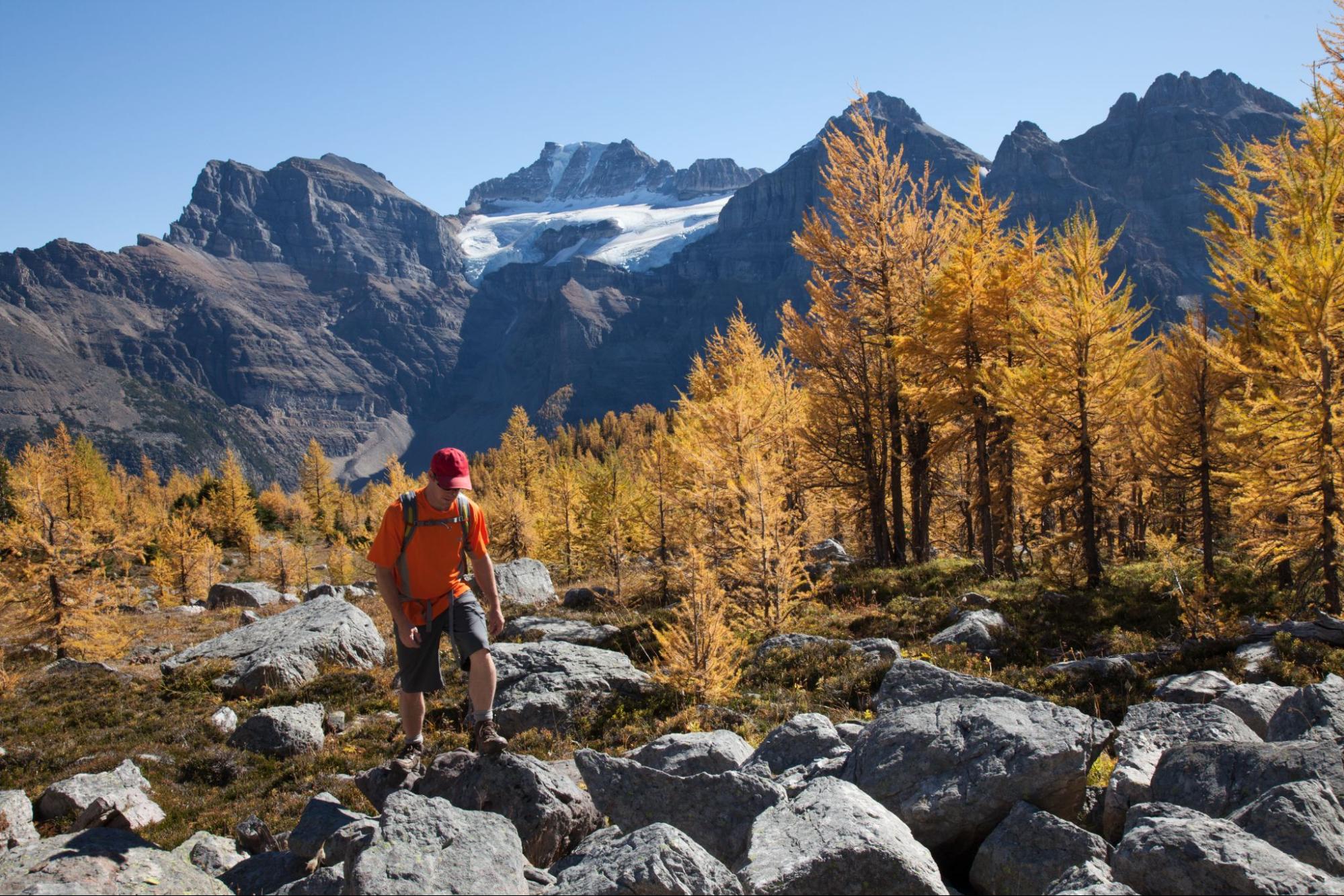 Man hiking on a larch hike in the Canadian Rockies with mountains