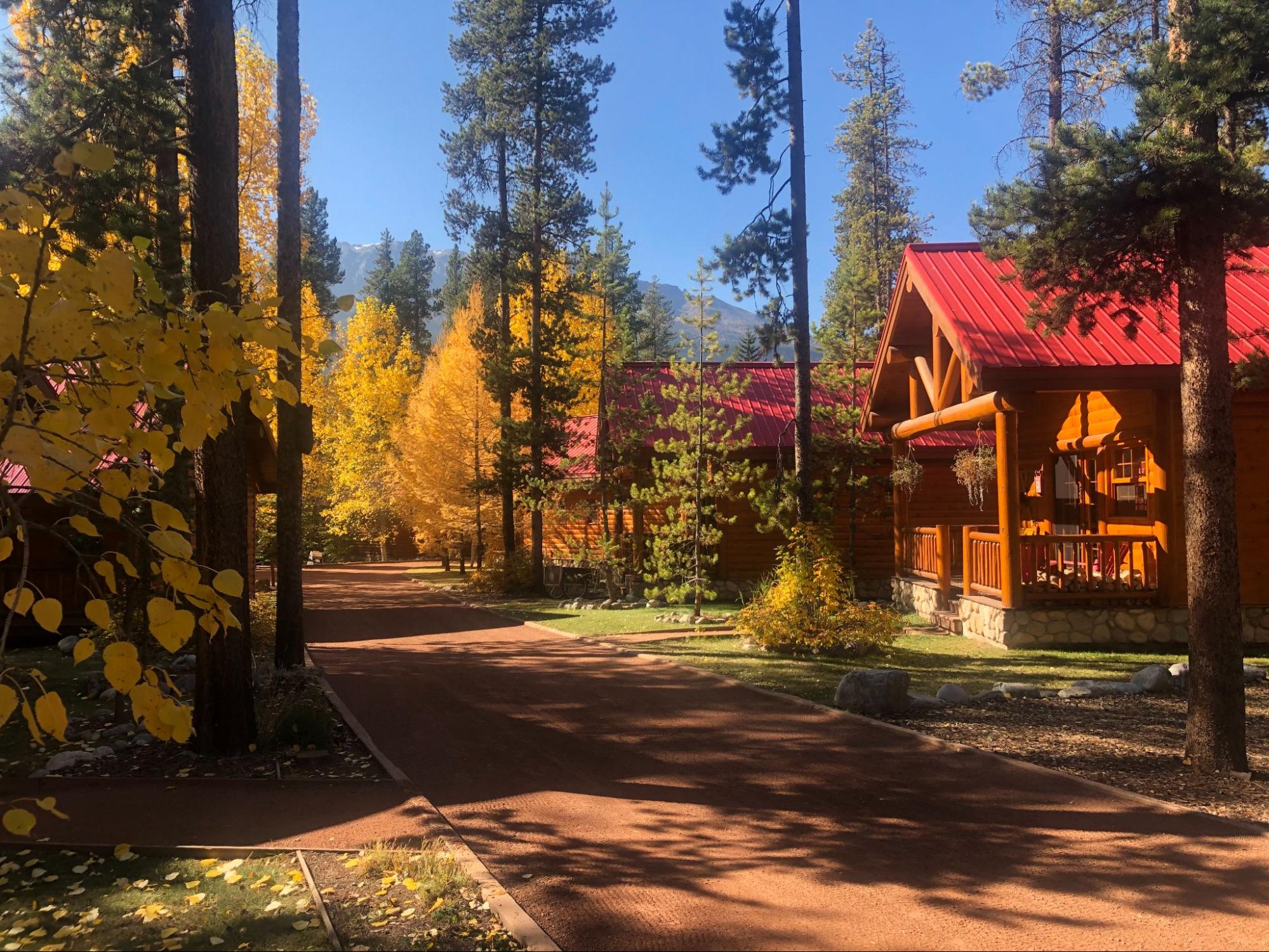 Cabins with red roofs amidst golden larches on a Canadian Rockies larch hike.