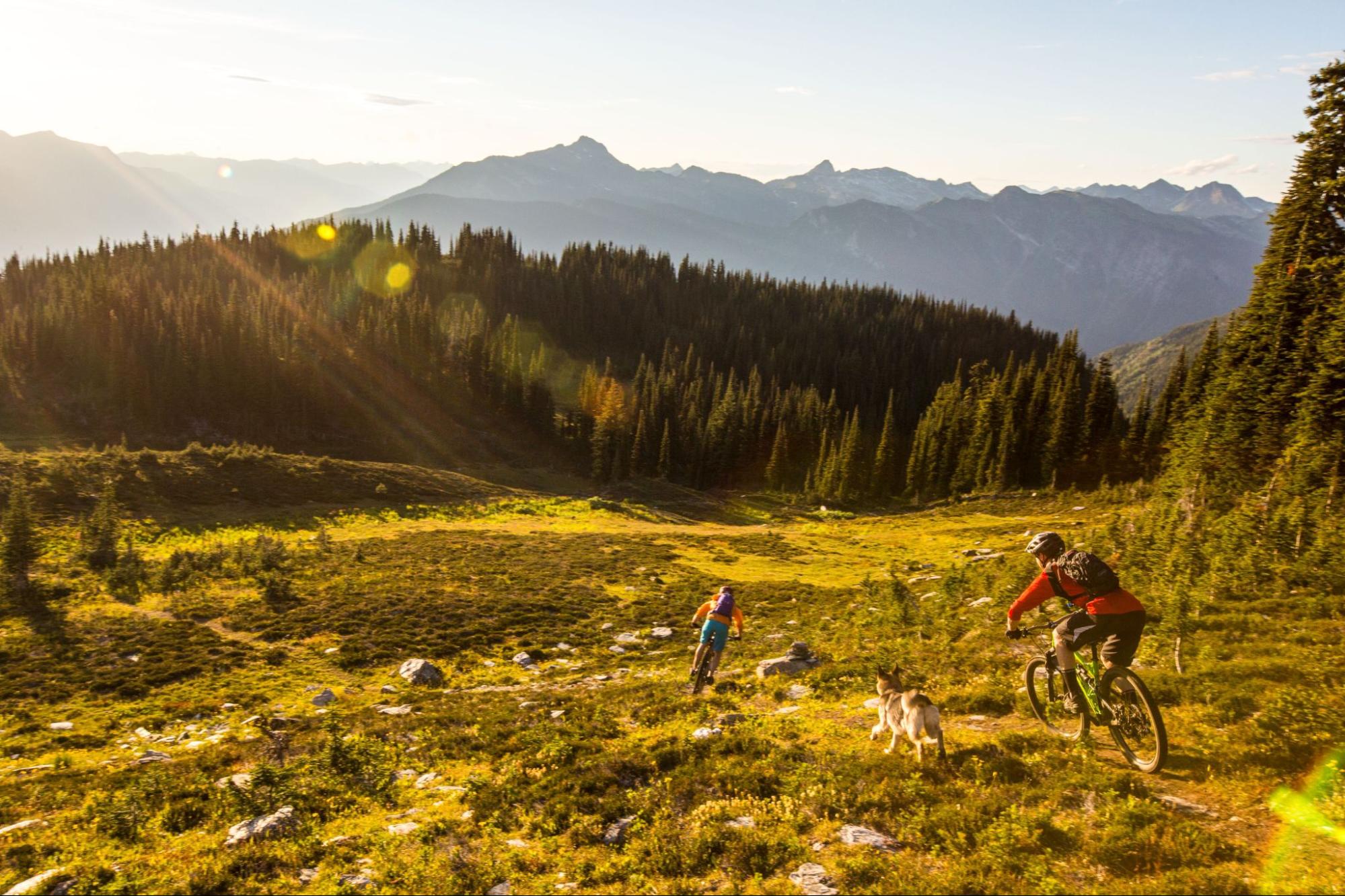 Mountain Biking in Revelstoke