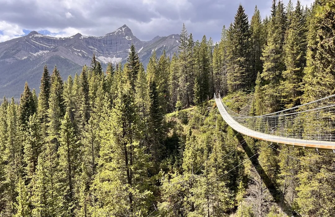 Suspension bridge over a forest valley on a hike in Kananaskis