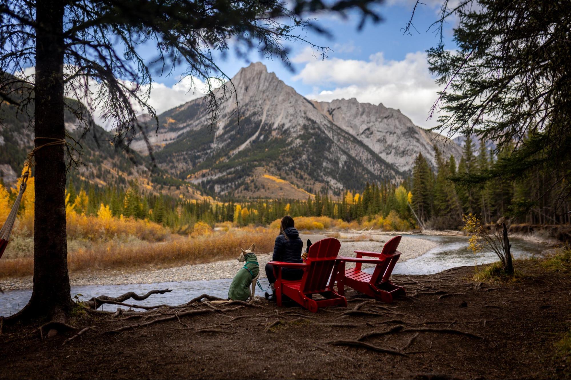 Person and dog enjoy a scenic view of larch hikes in the Canadian Rockies