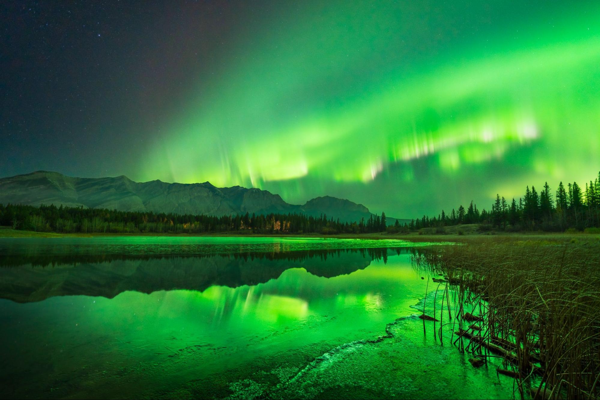 Northern Lights above Kananaskis Country